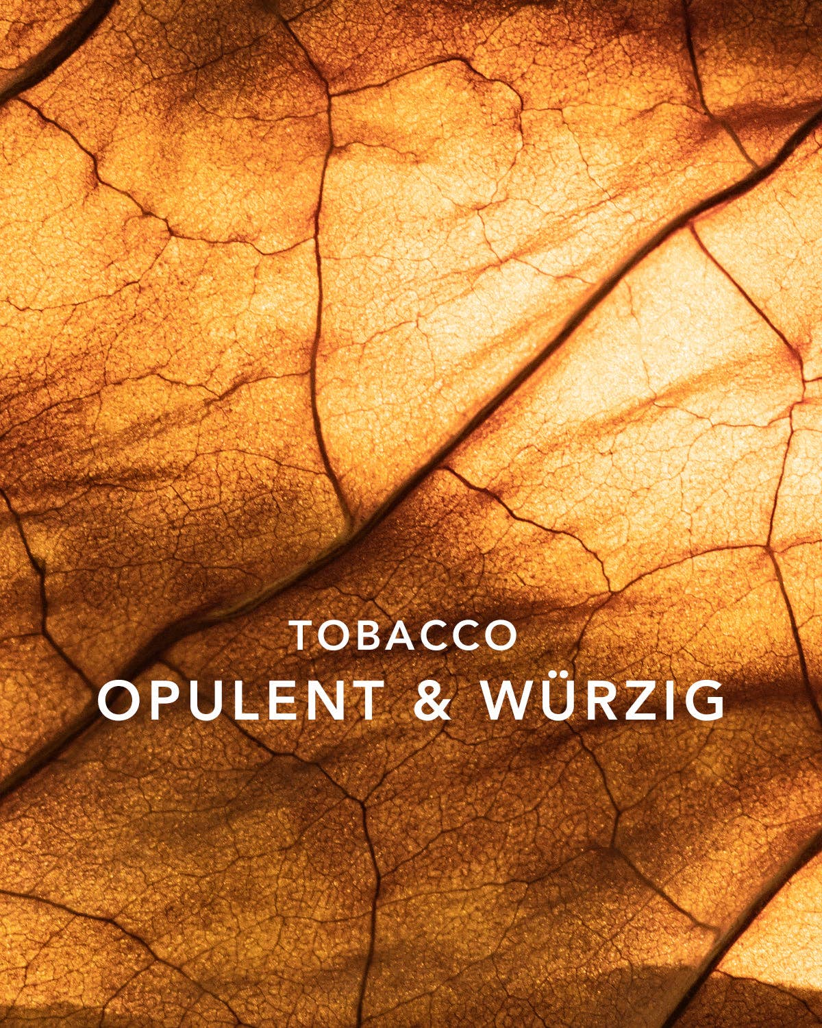 Room Fragrance - Tobacco Noir
