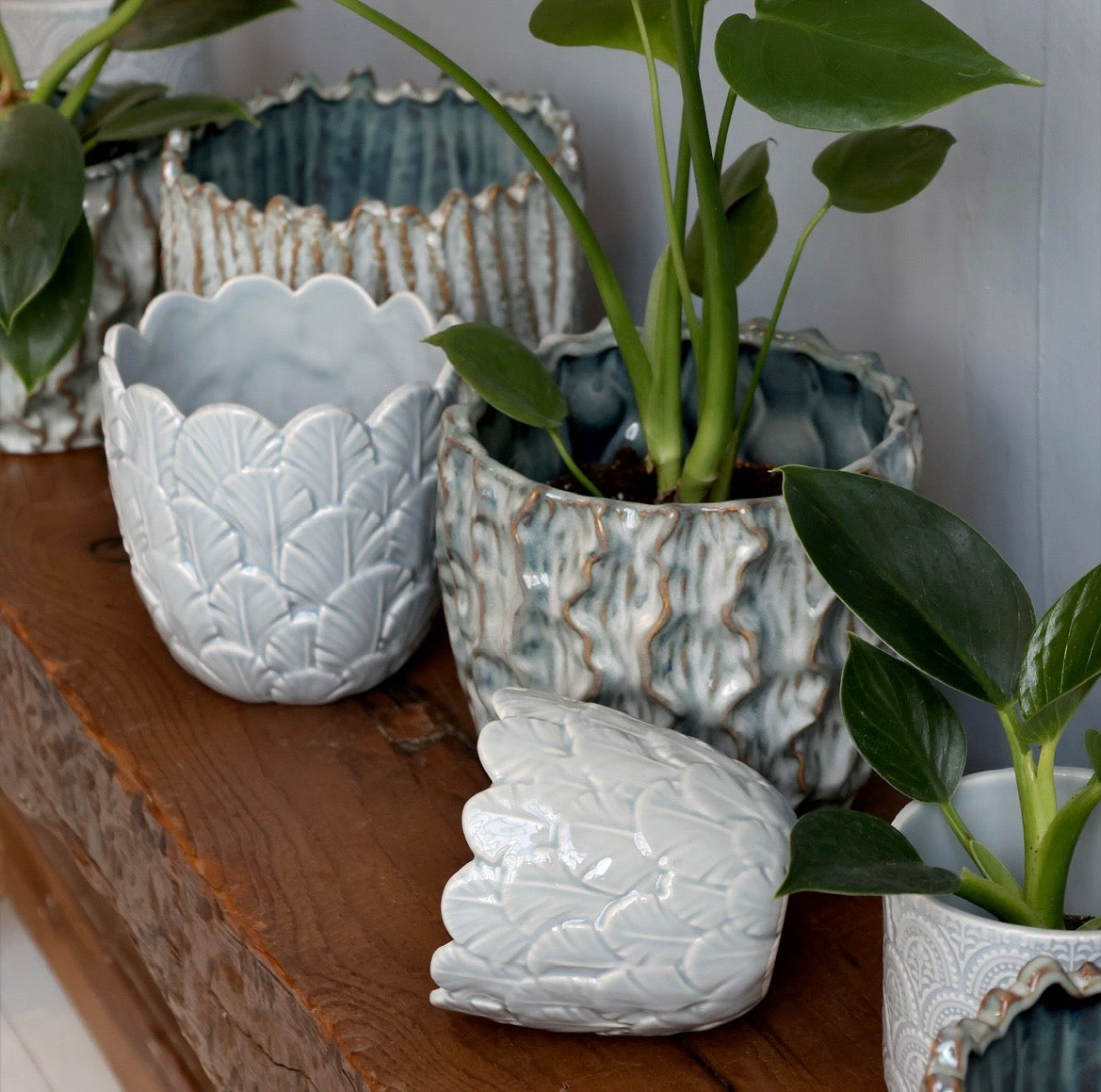 Porcelain Leaf Planter – Opal