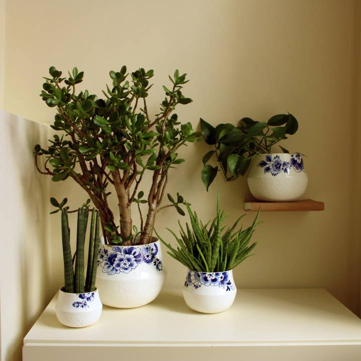 Blue Blossom Flower Pot