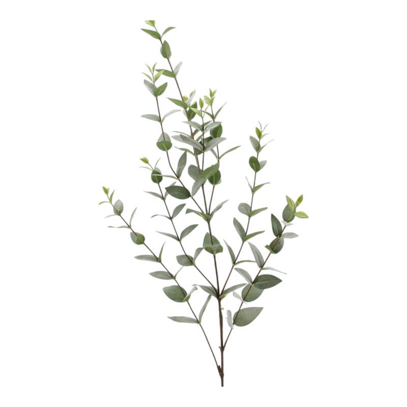 Eucalyptus Branch - 91cm