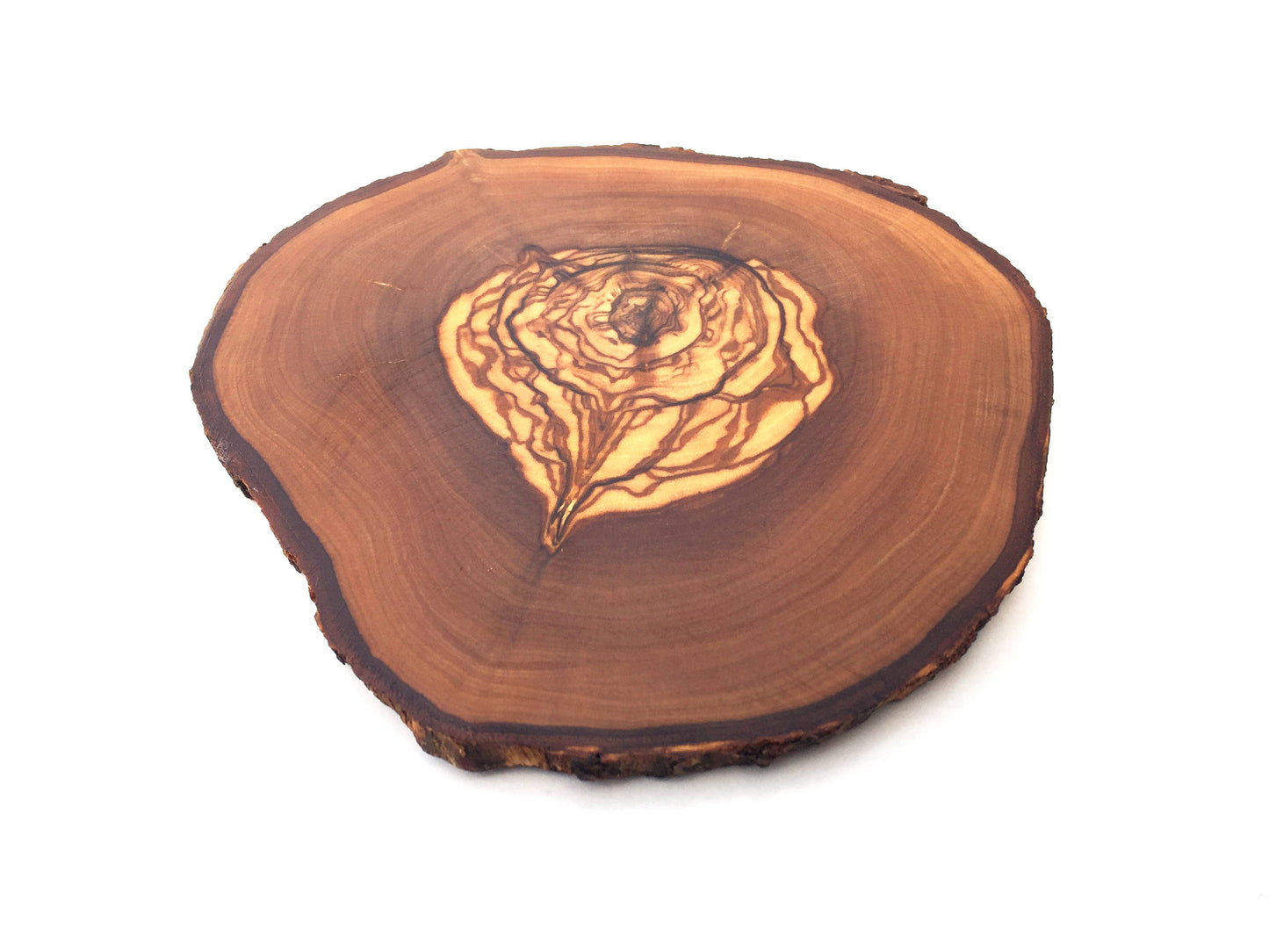 Natural Cut Glass Olive Wood Coasters - set of 6