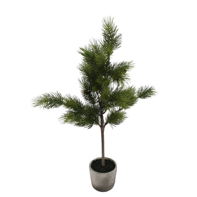 Potted Pine tree - 75 cm