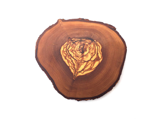Natural Cut Glass Olive Wood Coasters - set of 6