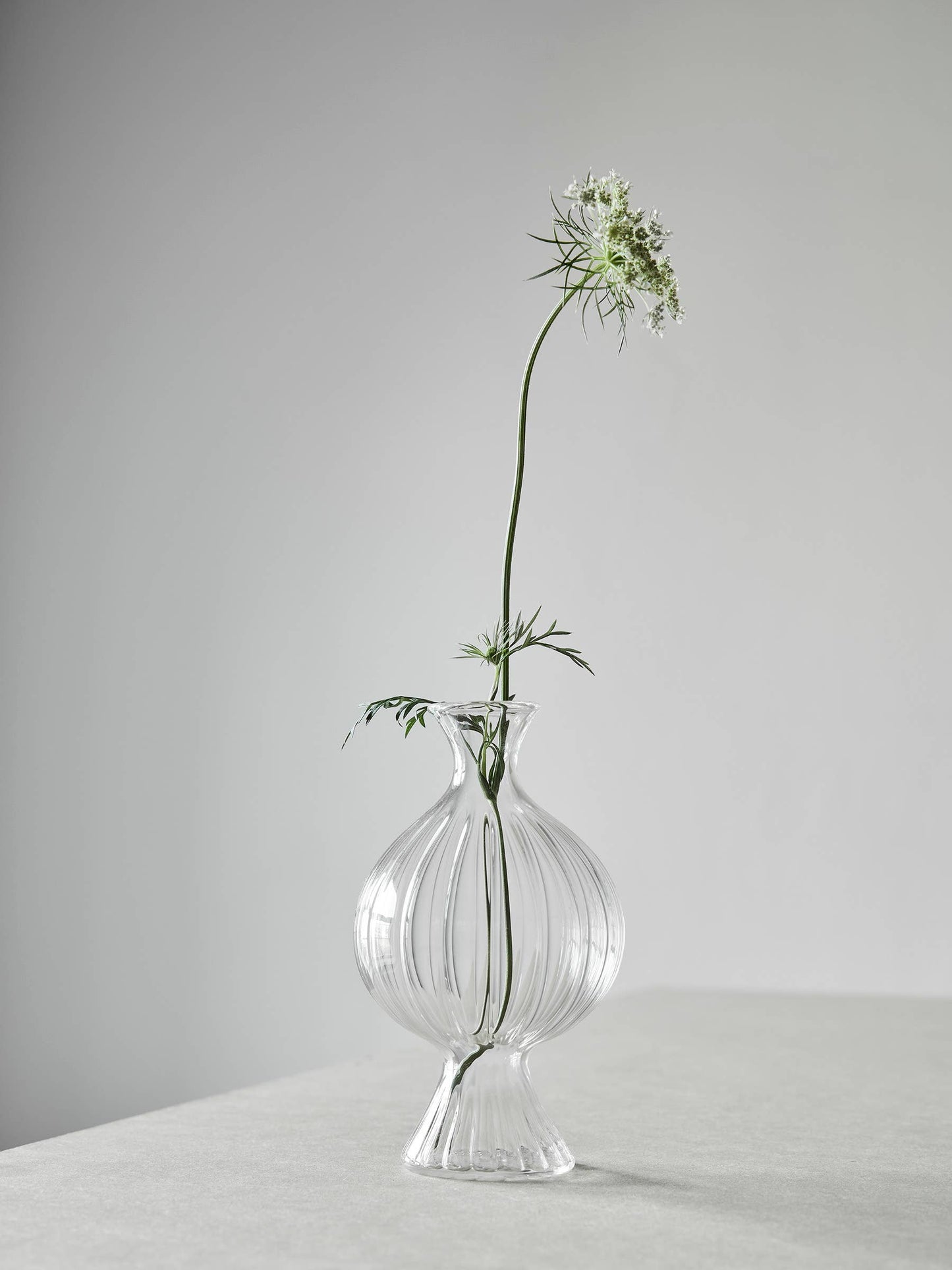 Como Ripple Vase - Small / Medium