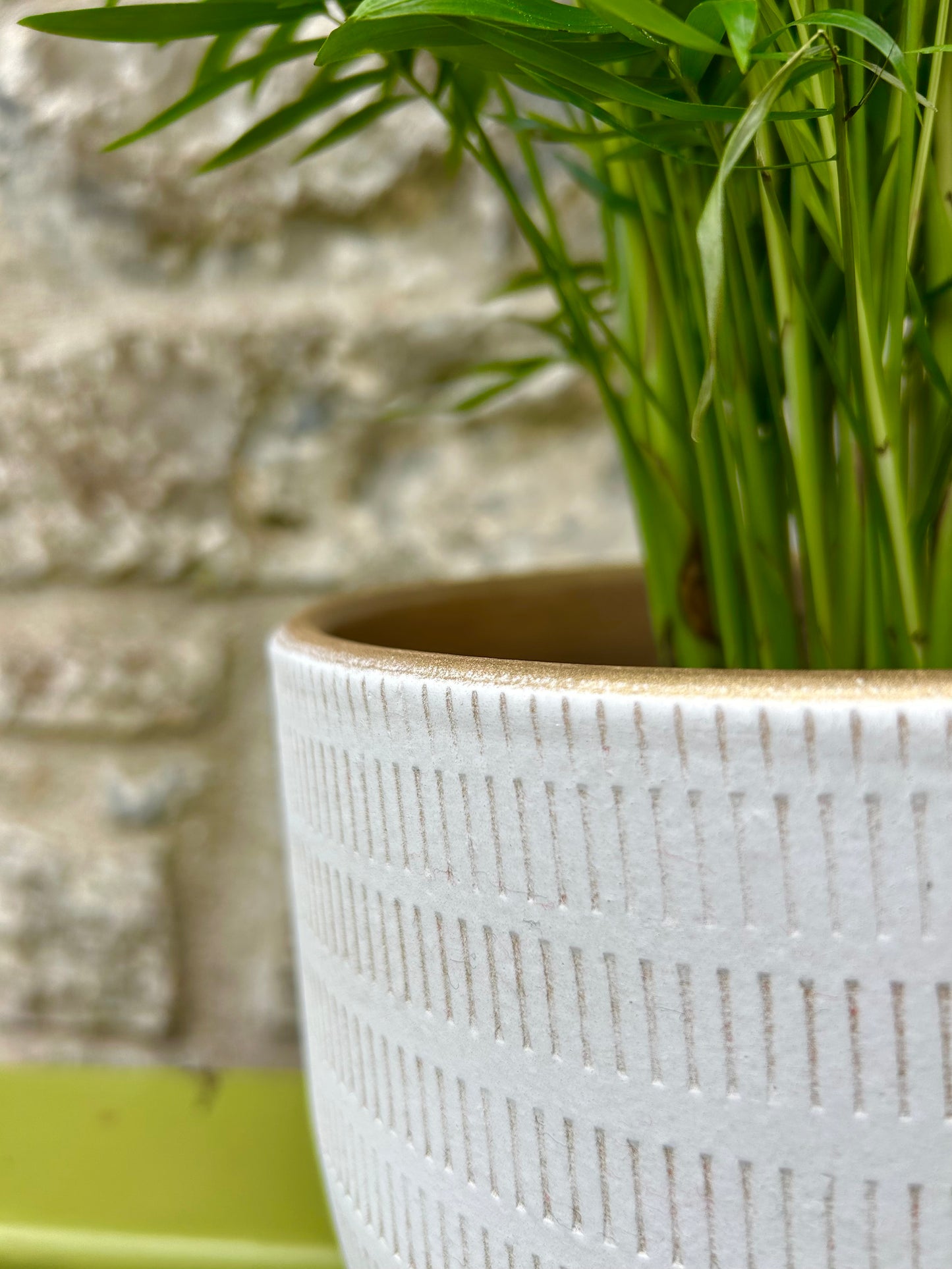 Ceramic 'Beau' Planter (M/L)