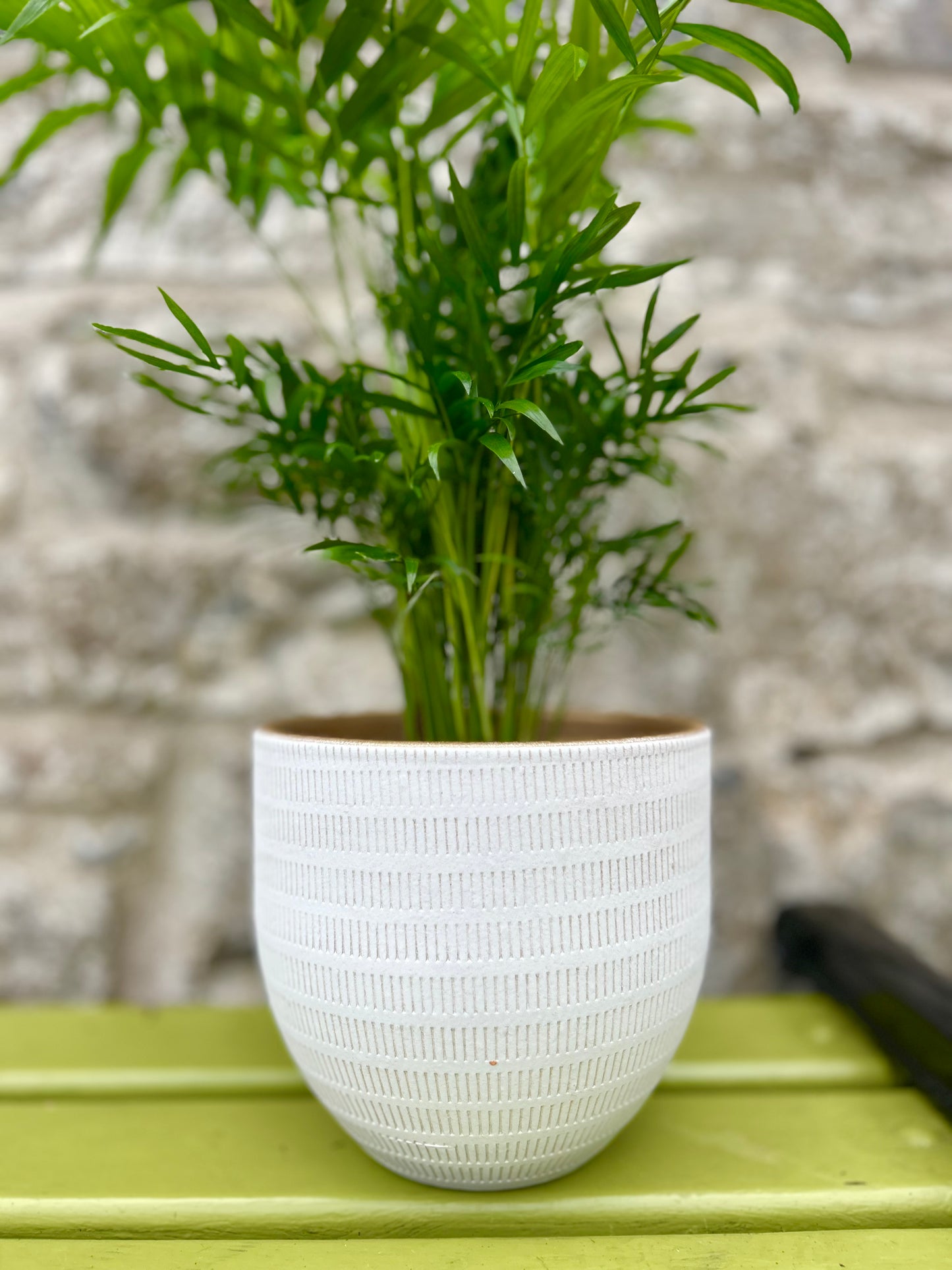 Ceramic 'Beau' Planter (M/L)