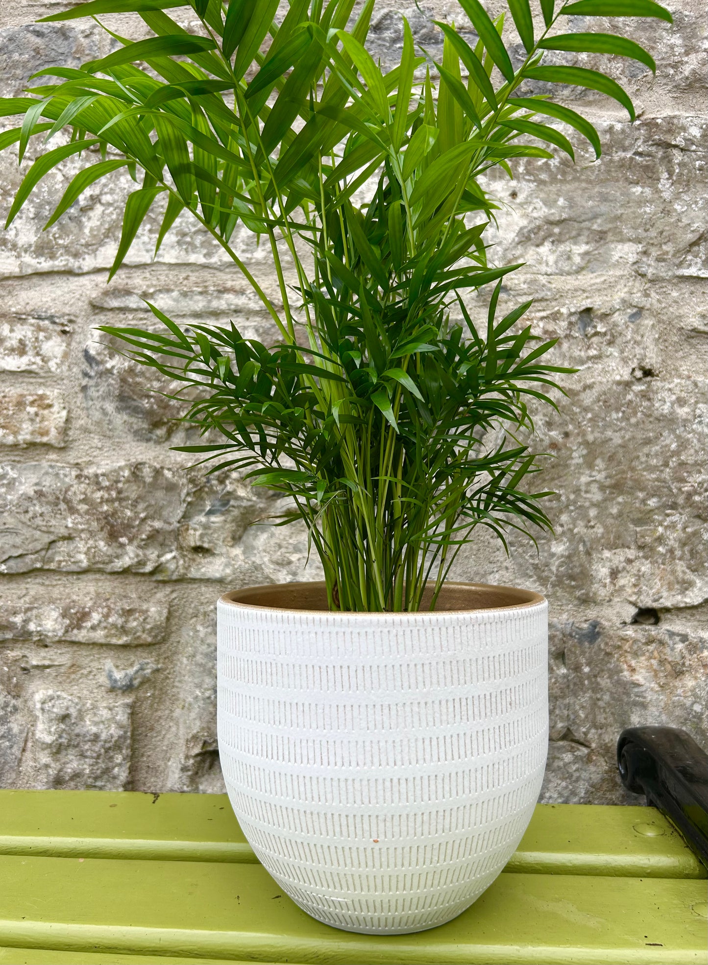 Ceramic 'Beau' Planter (M/L)