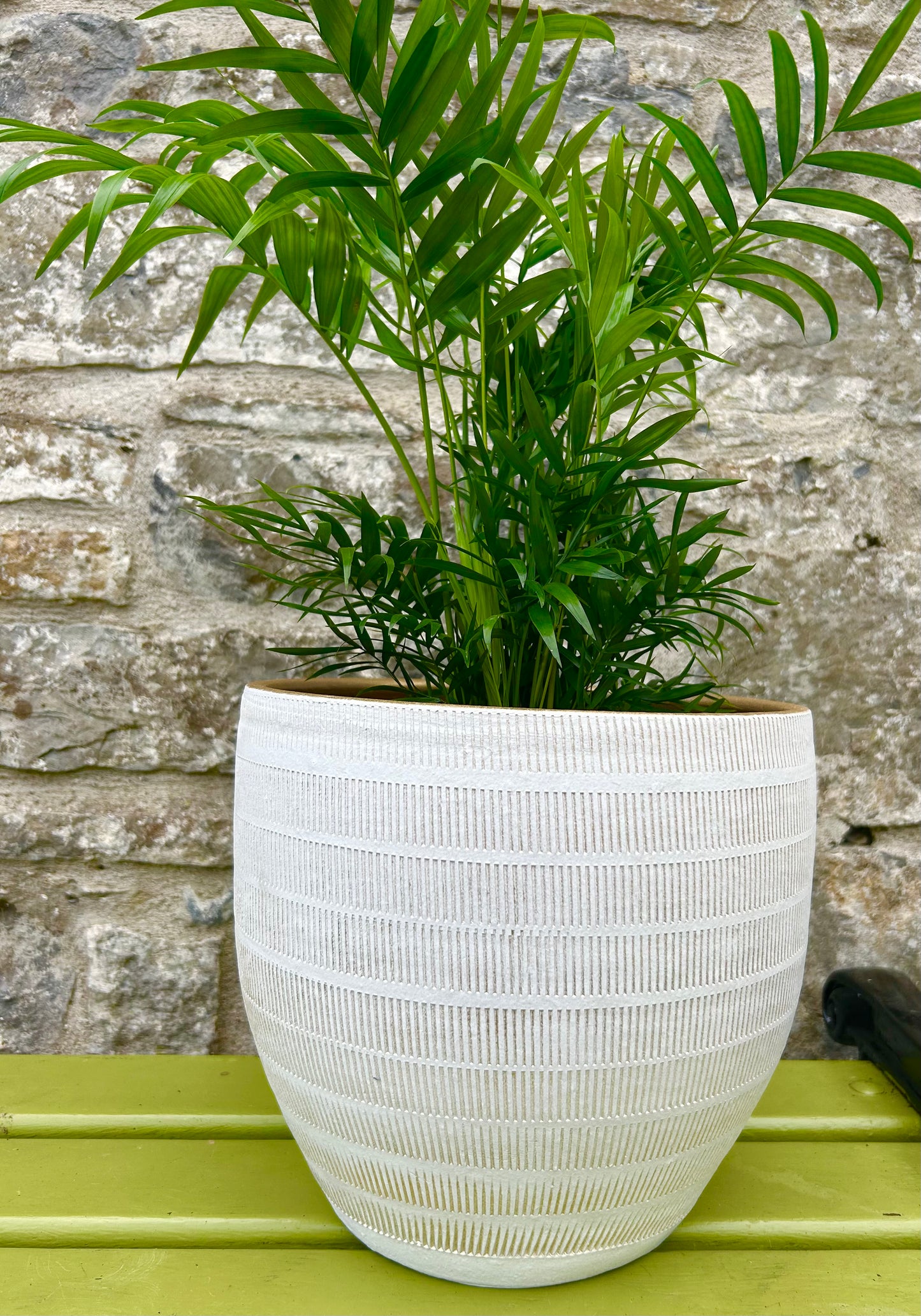 Ceramic 'Beau' Planter (M/L)