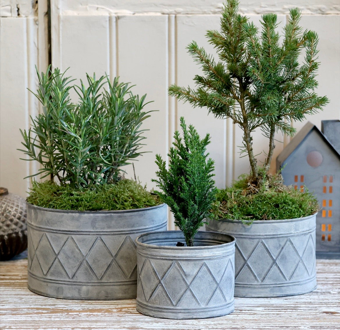 Zinc Planter - 3 Sizes