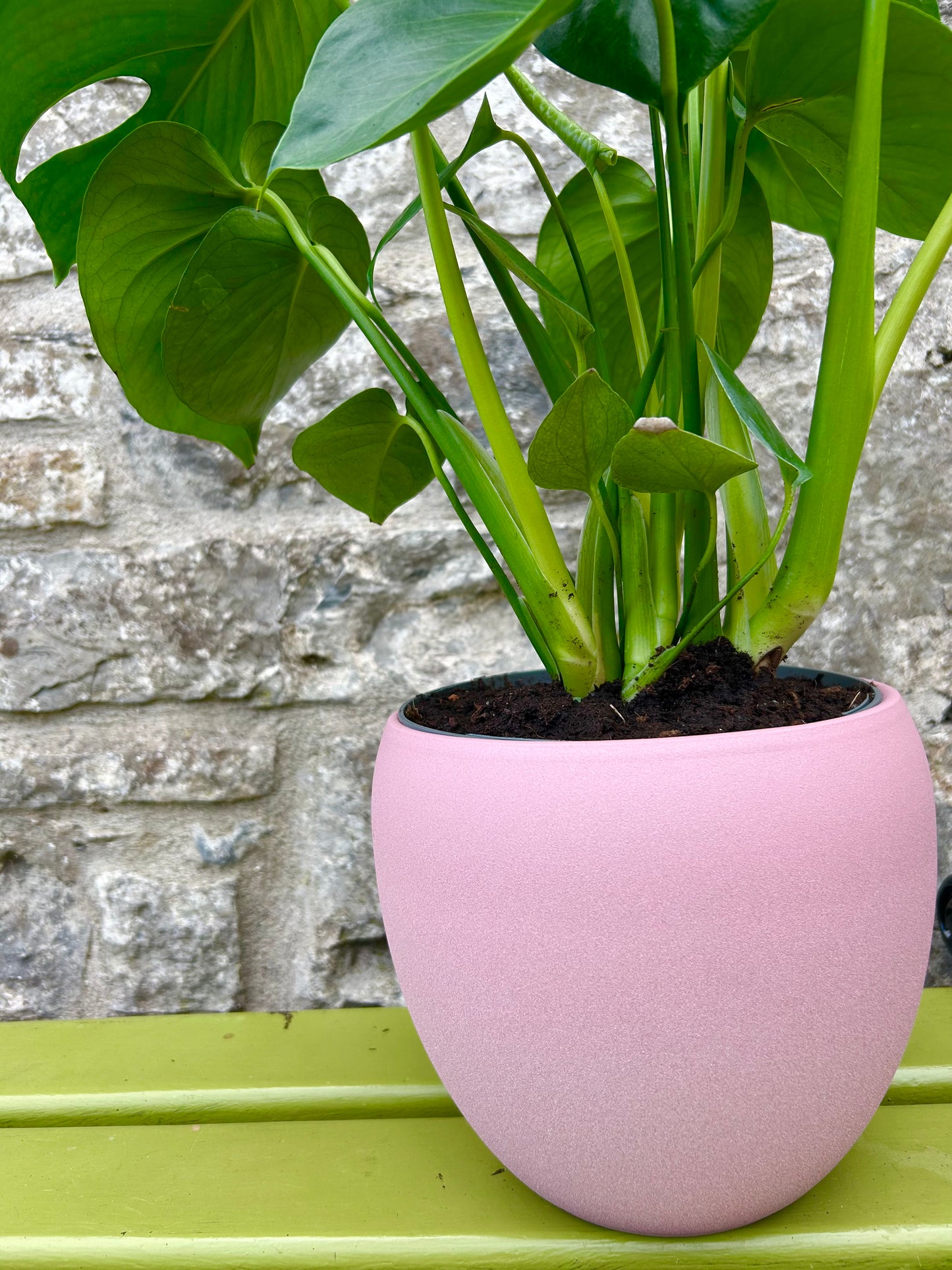 Ceramic Pink Planter