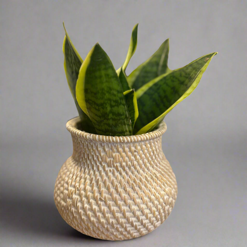 Rattan Vase