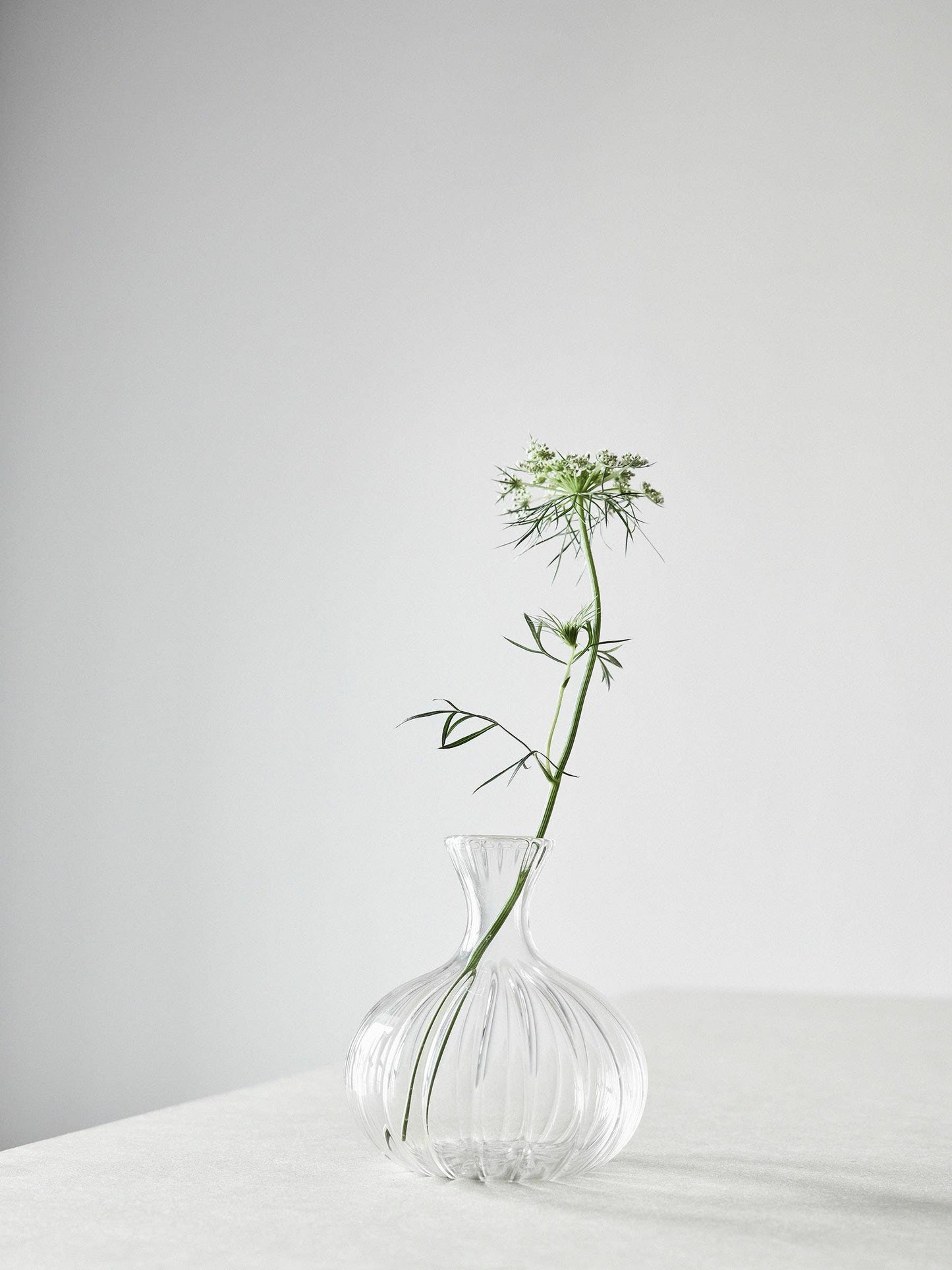 Como Ripple Vase - Small / Medium