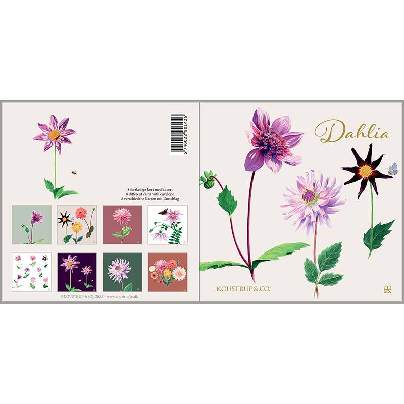 Dahlia Square Card-Folder With 8 Cards and Envelopes