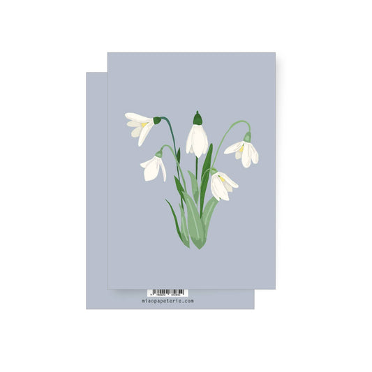 Snowdrop | Greeting card