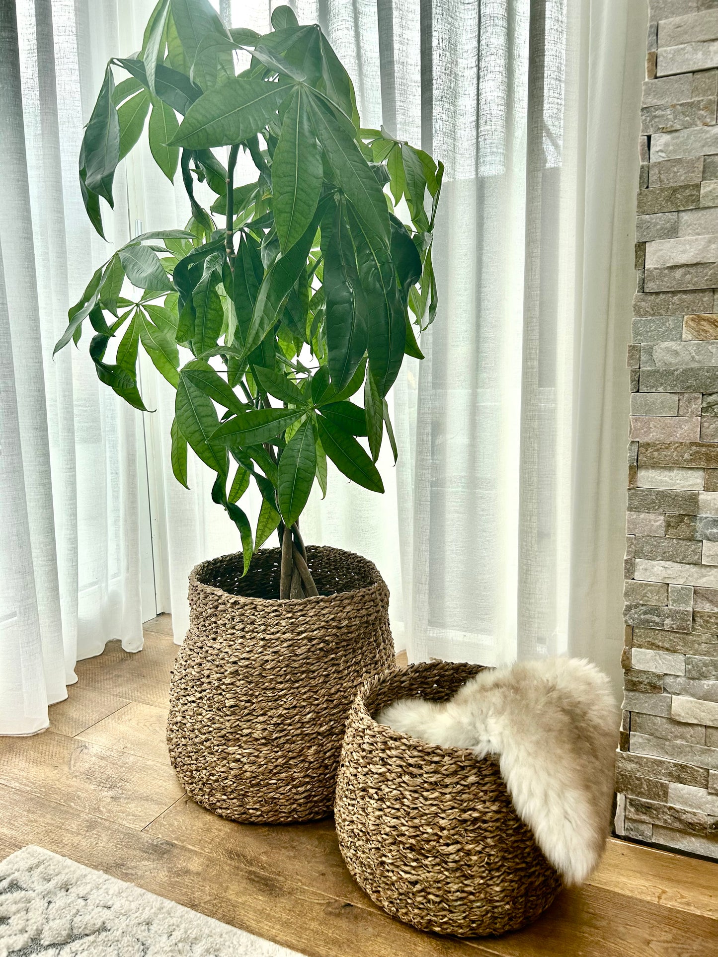 Tom Seagrass Baskets - 2 Sizes