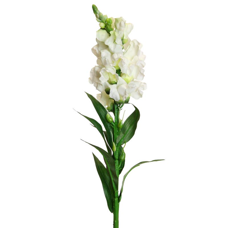 Cream Snapdragon Stem - 59 cm