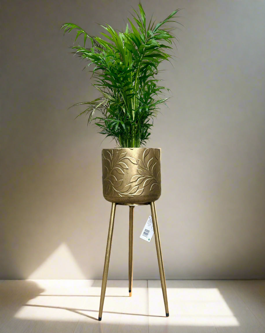 Angon Plant Stand