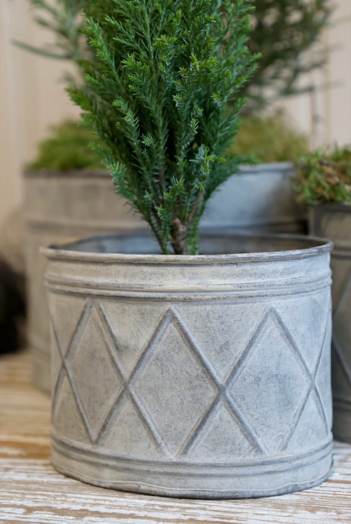 Zinc Planter - 3 Sizes