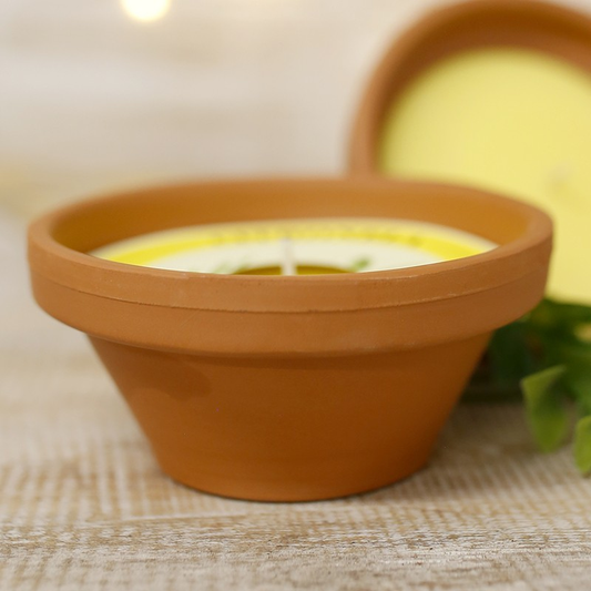 Citronella Candle in Terracotta Pot