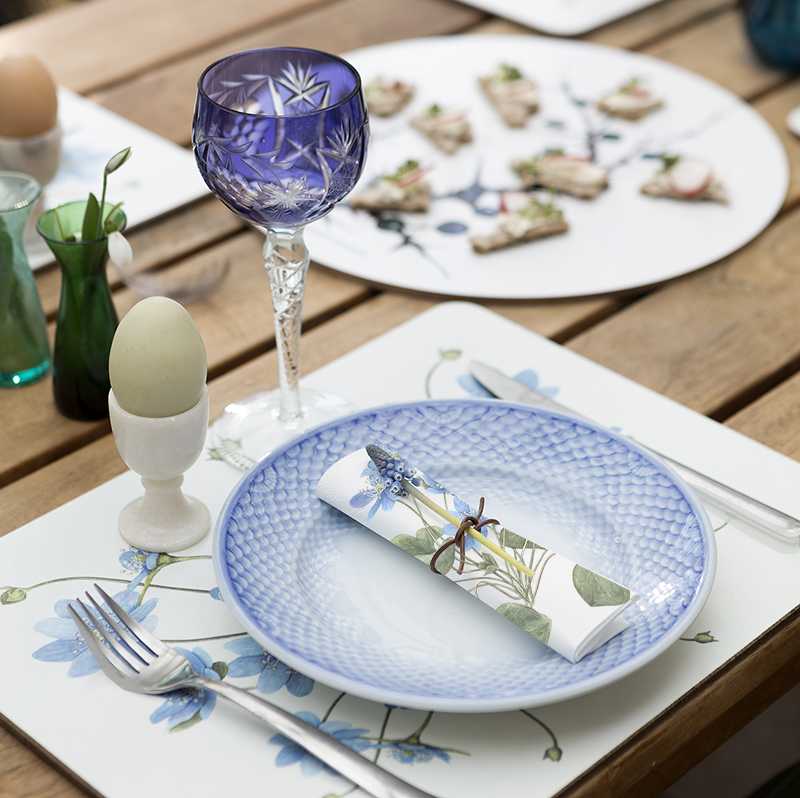 Anemone Paper Napkins