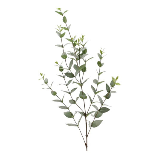 Eucalyptus Branch - 91cm