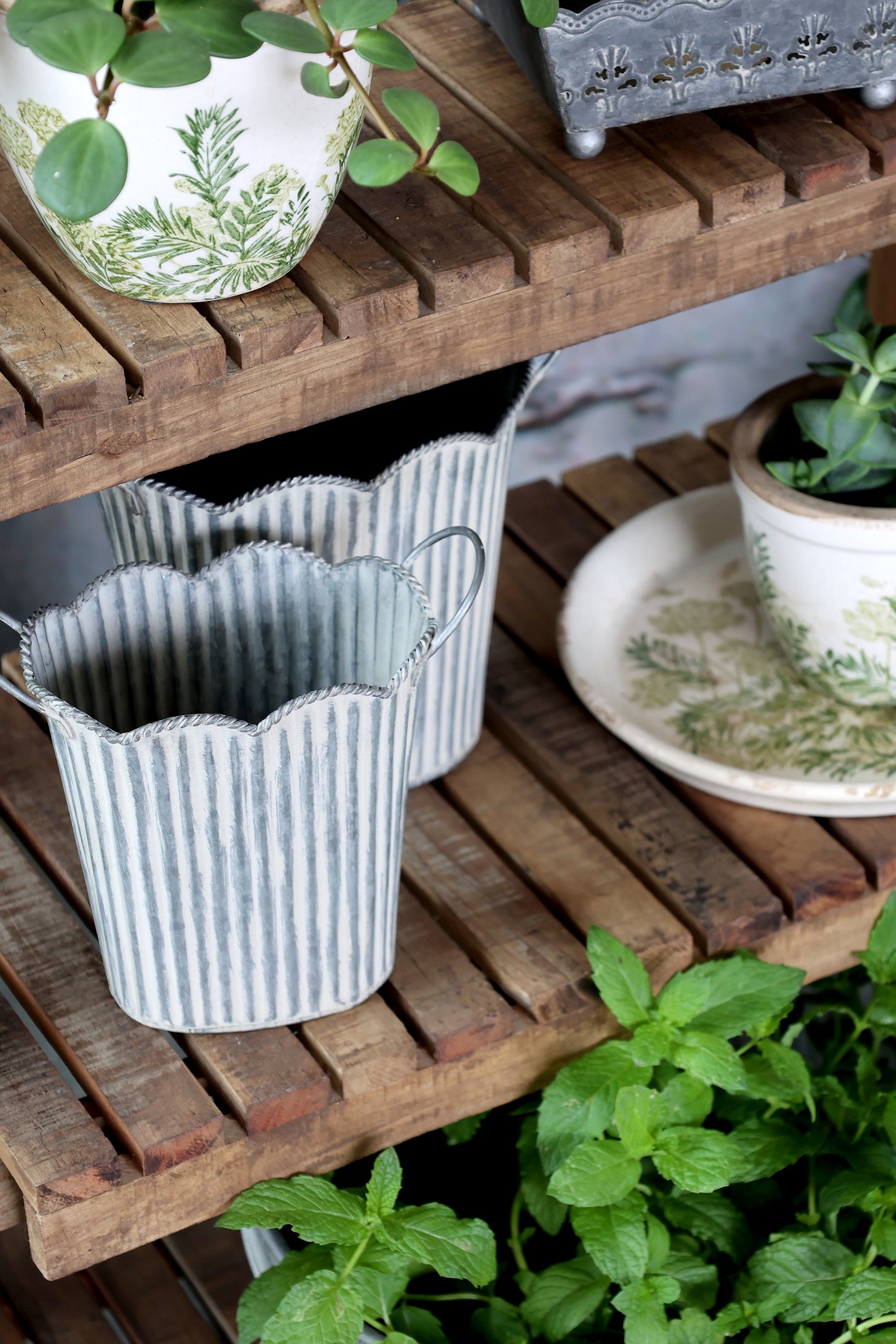 Scalloped Zinc Planter – 3 Sizes