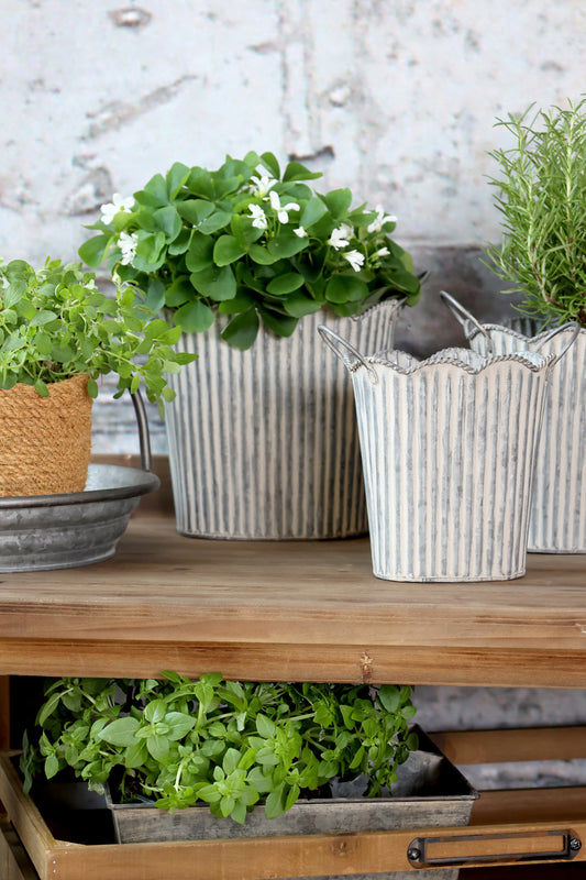 Scalloped Zinc Planter – 3 Sizes