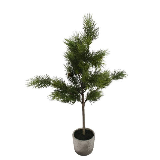 Potted Pine tree - 75 cm