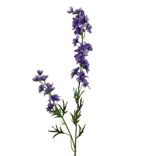 Deep Purple Delphinium - 90 cm
