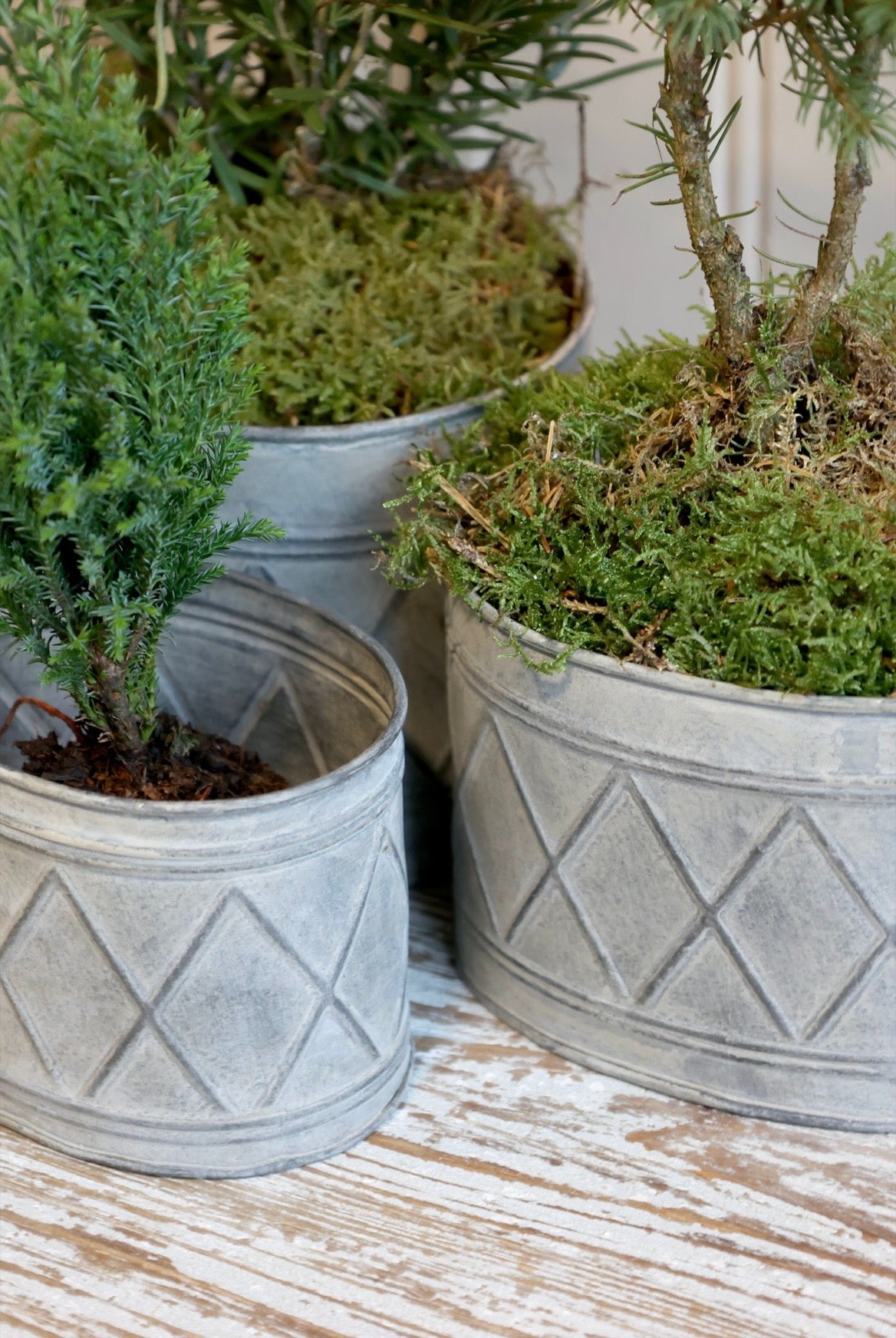 Zinc Planter - 3 Sizes