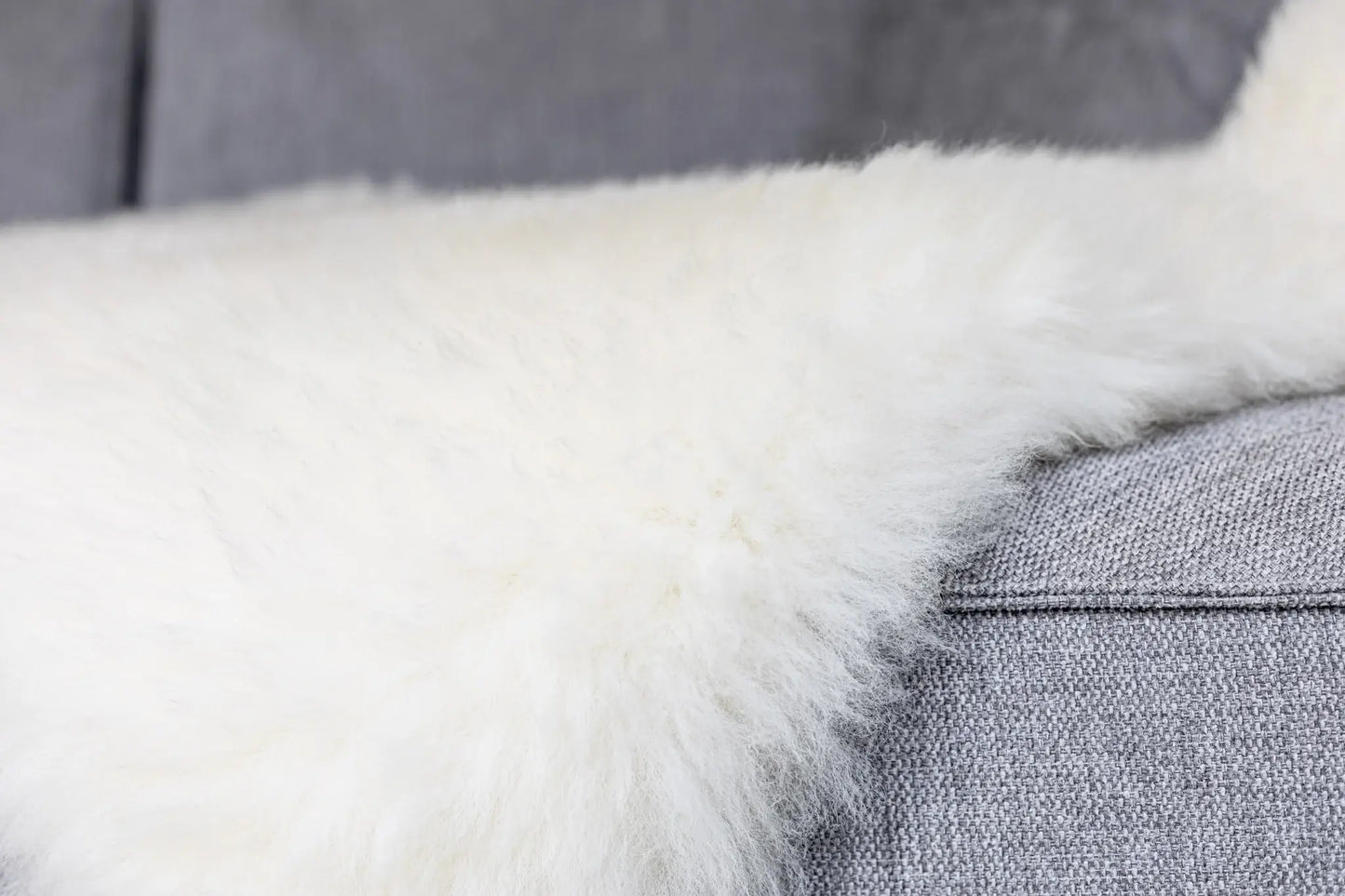 Texel Sheepskin in Natural White