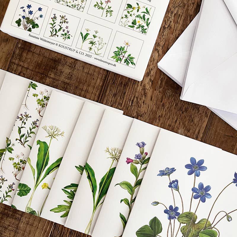 Spring Forest Cardfolder With 8 Cards and Envelopes