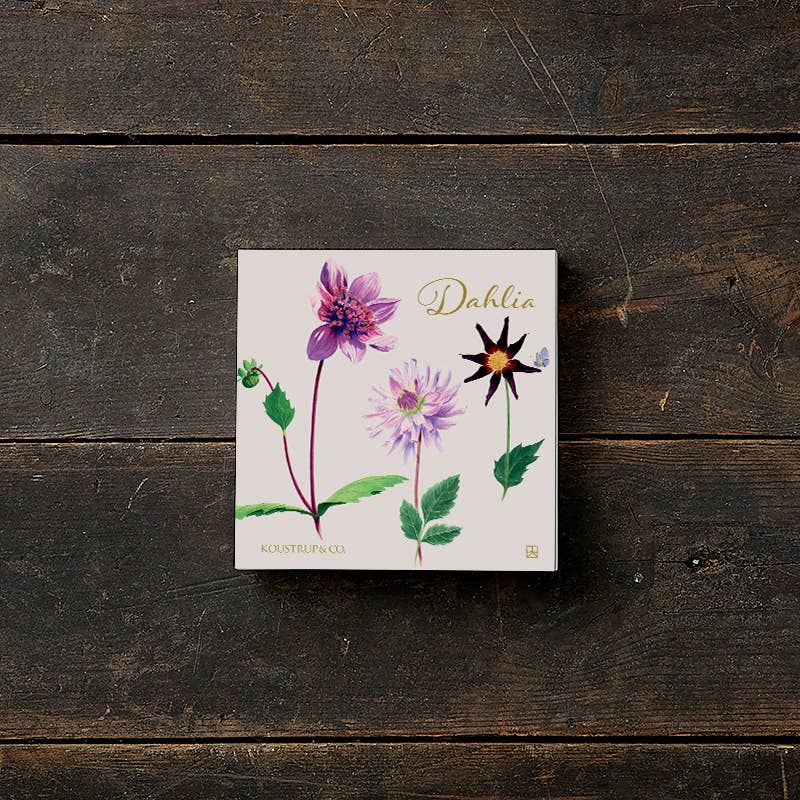Dahlia Square Card-Folder With 8 Cards and Envelopes