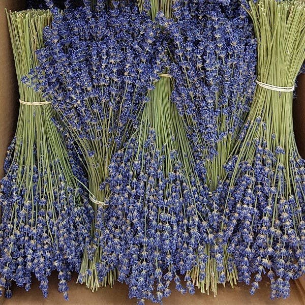 Dried Lavender Bunches