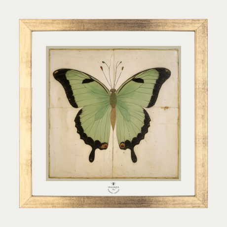 The Green Butterfly - Framed Art