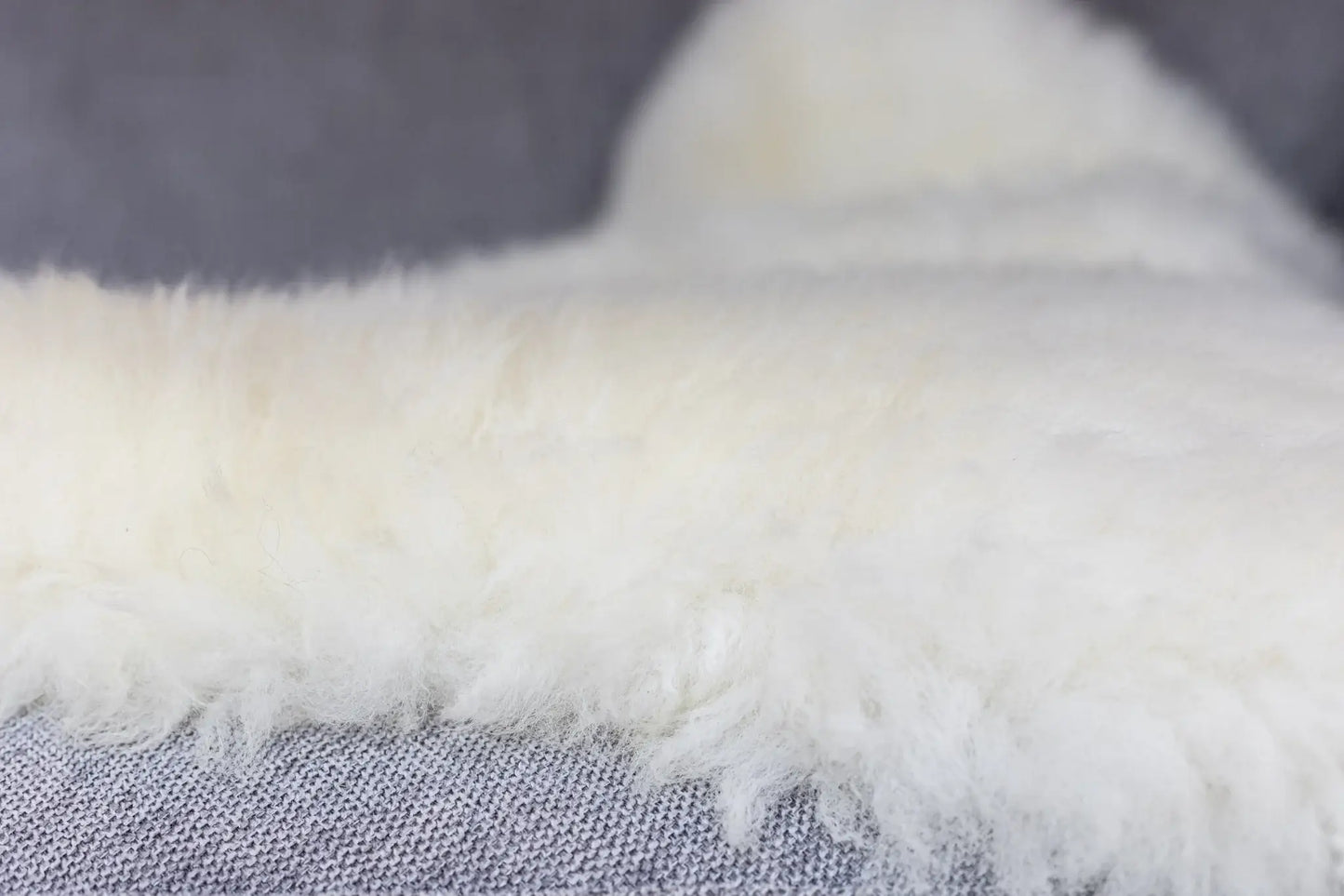 Texel Sheepskin in Natural White