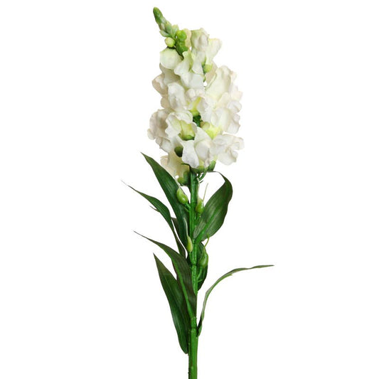 Cream Snapdragon Stem - 59 cm