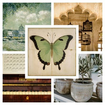 The Green Butterfly - Framed Art