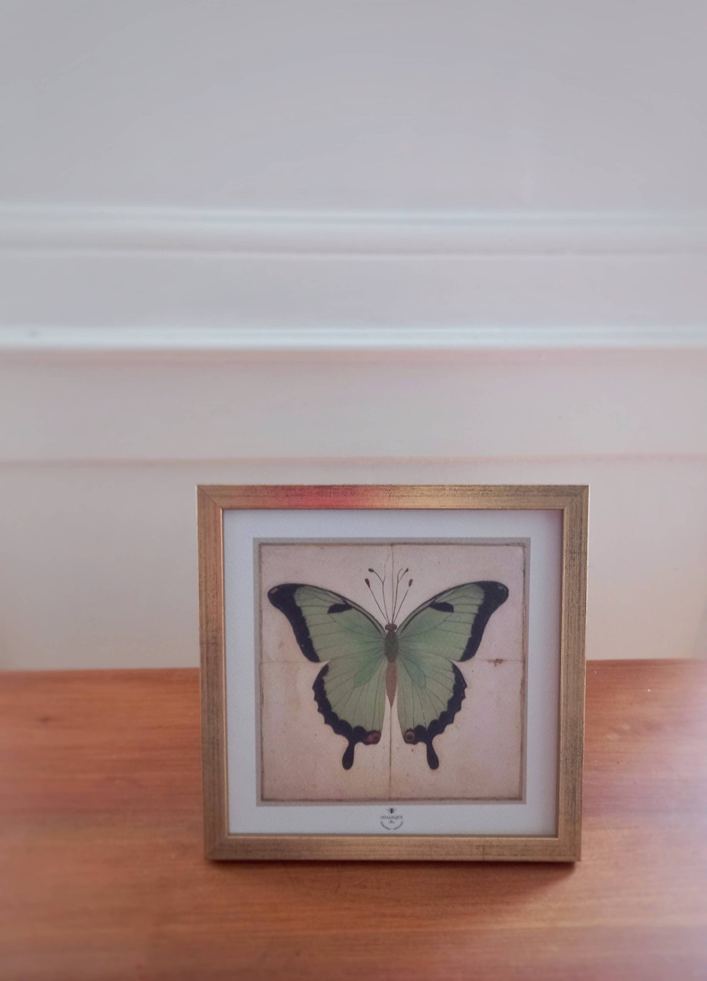 The Green Butterfly - Framed Art