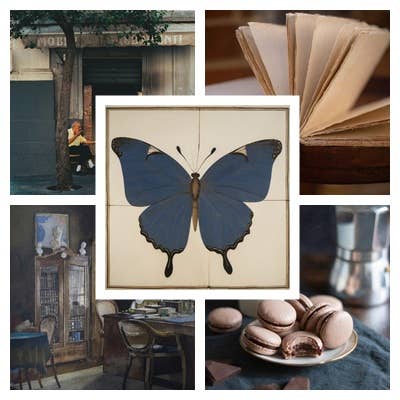 The Blue Butterfly - Framed Art
